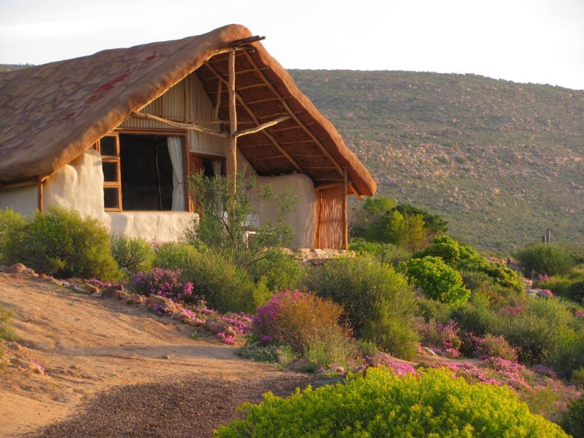 Вилла Oudrif Farm Клануильям Экстерьер фото