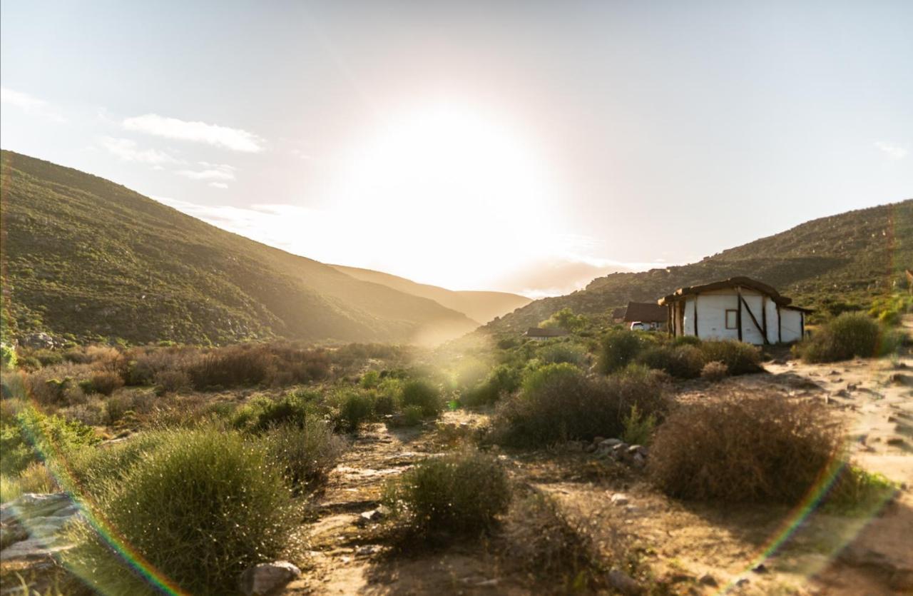 Вилла Oudrif Farm Клануильям Экстерьер фото