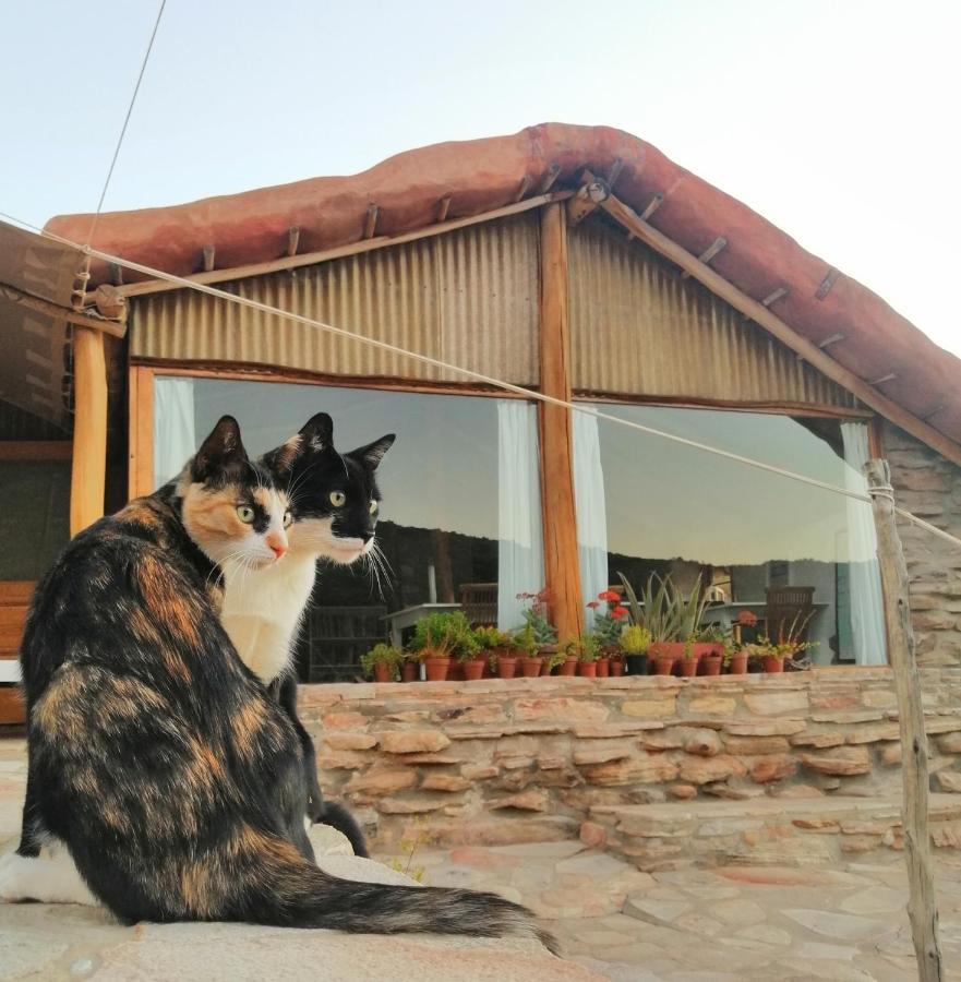 Вилла Oudrif Farm Клануильям Экстерьер фото